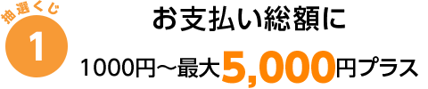 お支払い総額に100円〜最大5,000円プラス