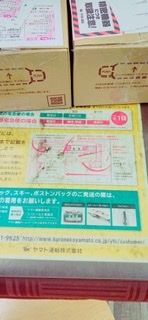 NK-141953